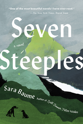 Seven Steeples: A Novel Cover Image