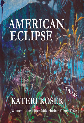 American Eclipse By Kateri Kosek Cover Image