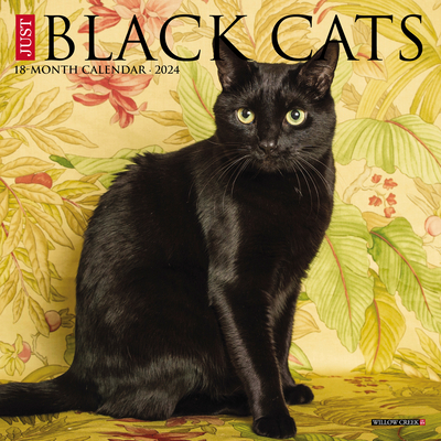Just Black Cats 2024 7 X 7 Mini Wall Calendar Cover Image