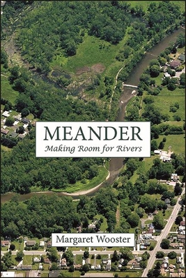Meander: Making Room for Rivers (Excelsior Editions) By Margaret Wooster Cover Image