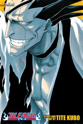 BLEACH Manga Volume 14