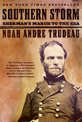 Southern Storm: Sherman's March to the Sea Cover Image