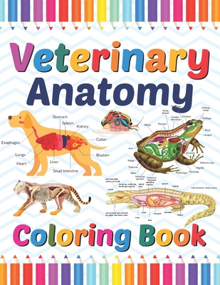 Veterinary Anatomy Coloring Book: Veterinary Anatomy Coloring and Activity  Book for Boys &  Anatomy Coloring & Activity Book for Kids.  (Paperback) | One More Page