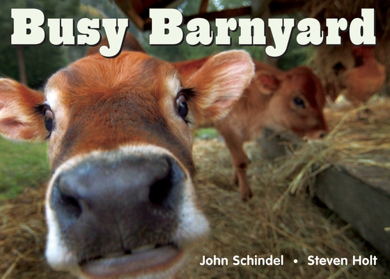 Busy Barnyard (A Busy Book) Cover Image