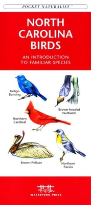 Colorado Birds: A Folding Pocket Guide to Familiar Species (Pocket Naturalist Guide)