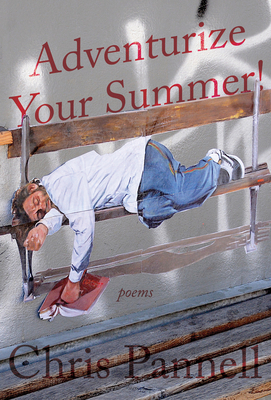 Adventurize Your Summer! By Chris Pannell Cover Image