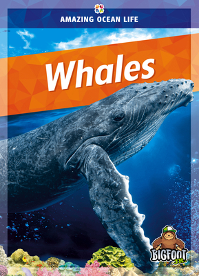 Whales By Colleen Sexton Cover Image