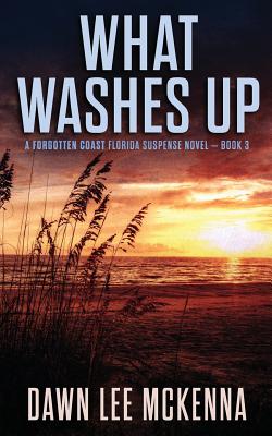 What Washes Up By Dawn Lee McKenna Cover Image