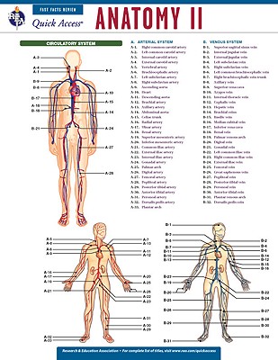Cover for Anatomy II (Quick Access)