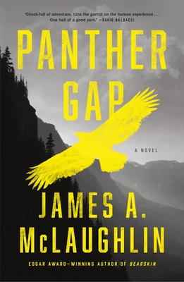 Panther Gap: A Novel Cover Image