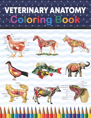 Veterinary Anatomy Coloring Book: Veterinary Anatomy Coloring & Activity  Book for Kids. An Entertaining And Instructive Guide To Veterinary Anatomy.  V (Paperback) | One More Page