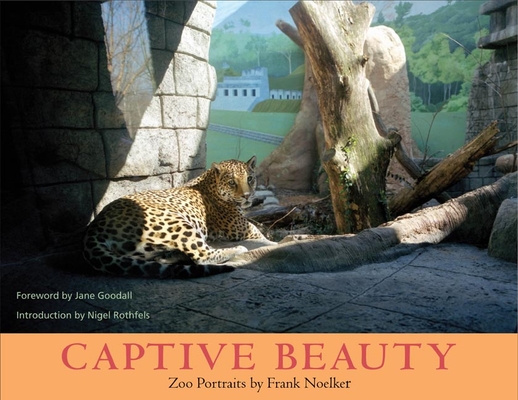Captive Beauty Cover Image