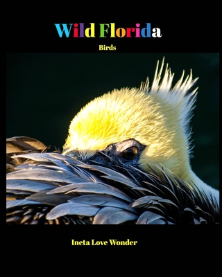 Wild Florida: Birds Cover Image