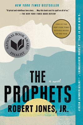 Cover Image for The Prophets