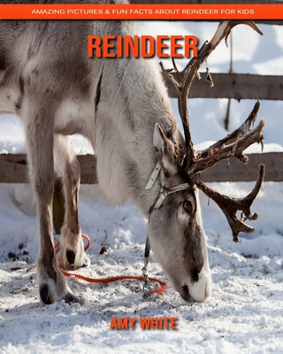 Reindeer facts store for kids