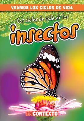 Los Ciclos de Vida de Los Insectos (Insect Life Cycles) (Veamos los Ciclos de Vida (A Look At Life Cycles)) By Bray Jacobson, Alberto Jiménez (Translator) Cover Image