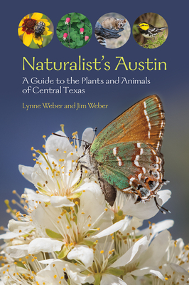 Naturalist's Austin: A Guide to the Plants and Animals of Central Texas (W. L. Moody Jr. Natural History Series) By Lynne M. Weber, Jim Weber Cover Image