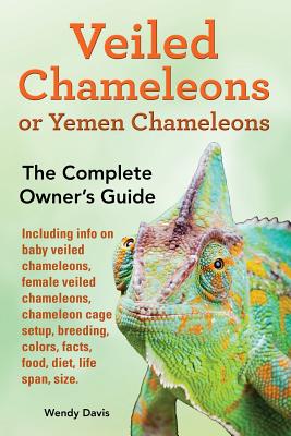 Veiled Chameleons or Yemen Chameleons as pets. info on baby veiled chameleons, female veiled chameleons, chameleon cage setup, breeding, colors, facts Cover Image