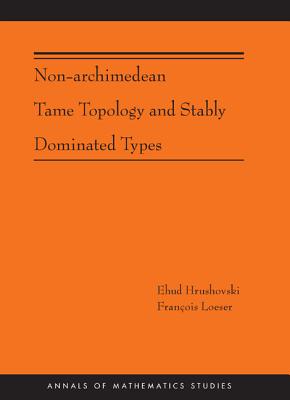 Non-Archimedean Tame Topology and Stably Dominated Types (Am-192) (Annals of Mathematics Studies #192) Cover Image