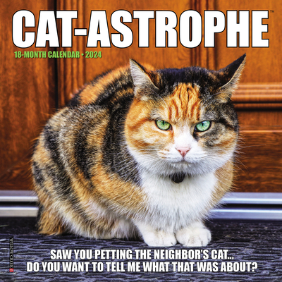 Cat-Astrophe 2024 7 X 7 Mini Wall Calendar Cover Image