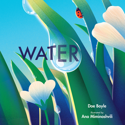 Water (Imagine This!) By Doe Boyle, Ana Miminoshvili (Illustrator) Cover Image