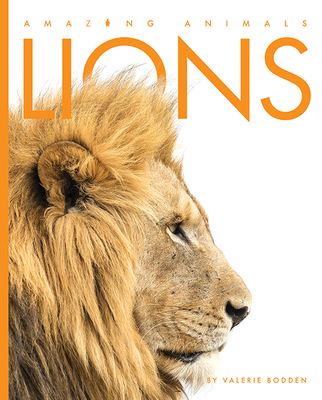 Lions (Amazing Animals) By Valerie Bodden Cover Image