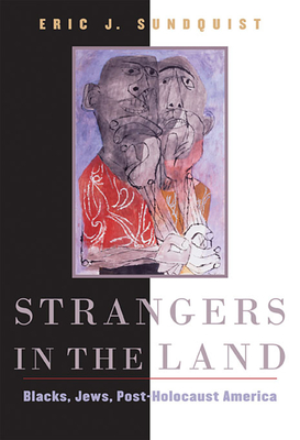 Strangers in the Land: Blacks, Jews, Post-Holocaust America Cover Image