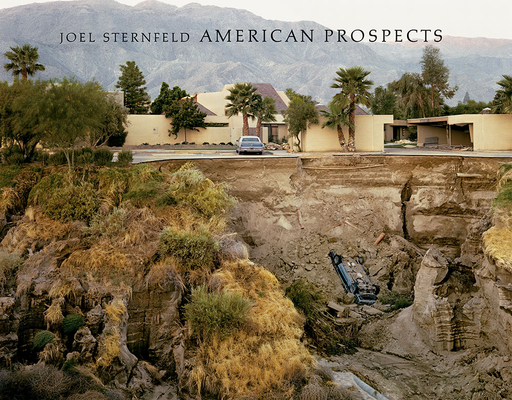 Joel Sternfeld: American Prospects Cover Image