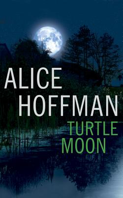 Cover for Turtle Moon