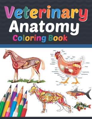 Veterinary Anatomy Coloring Book: Veterinary Anatomy Coloring Book For Medical, High School Students. Anatomy Coloring Book for kids. Veterinary Anato By Sreijeylone Publication Cover Image
