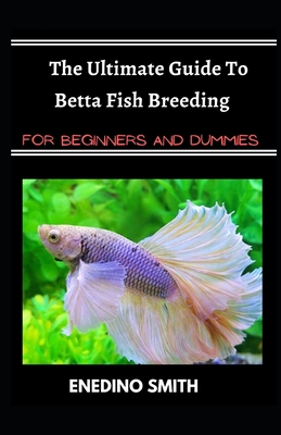 Betta Fish Gifts