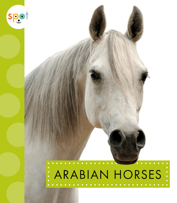 Arabian Horses (Spot Horses) By Alissa Thielges Cover Image
