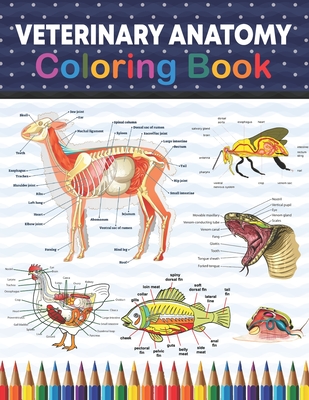 Veterinary Anatomy Coloring Book: Veterinary Anatomy Coloring and Activity  Book for Boys & Girls. Fun and Easy Veterinary Anatomy Coloring Book. Learn  (Paperback) | Quail Ridge Books