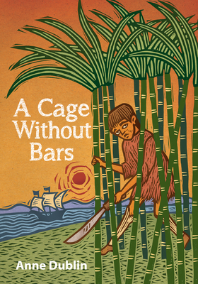 A Cage Without Bars By Anne Dublin Cover Image