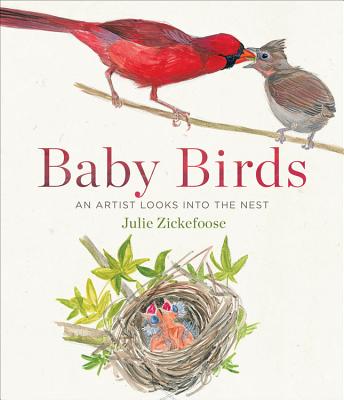 Baby Birds: An Artist Looks into the Nest By Julie Zickefoose Cover Image