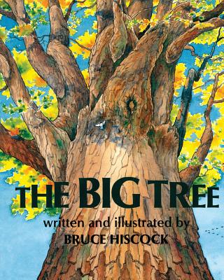 The Big Tree By Bruce Hiscock, Bruce Hiscock (Illustrator) Cover Image
