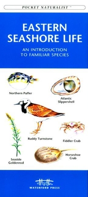 Michigan Birds: A Folding Pocket Guide to Familiar Species Cover Image