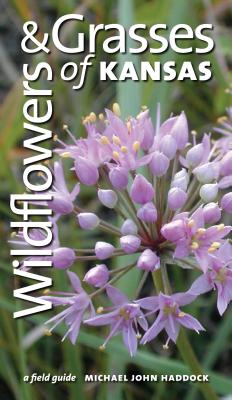 Wildflowers and Grasses of Kansas: A Field Guide