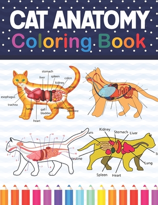 Cat Anatomy Coloring Book: Cat Anatomy Coloring Book for Kids & Adults. The  New Surprising Magnificent Learning Structure For Veterinary Anatomy  (Paperback) | Books and Crannies