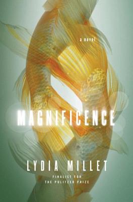 Cover Image for Magnificence: A Novel