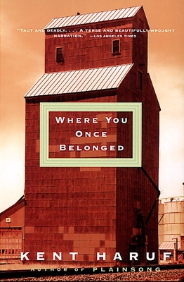 Where You Once Belonged (Vintage Contemporaries)