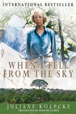 When I Fell From the Sky Cover Image