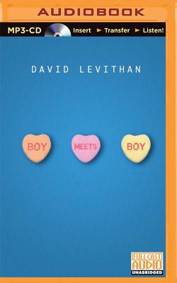 Boy Meets Boy Cover Image