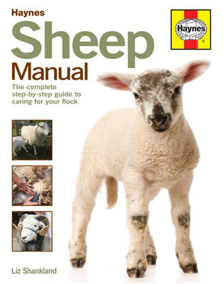 Sheep Manual: The complete step-by-step guide to caring for your flock (Haynes Manuals) Cover Image