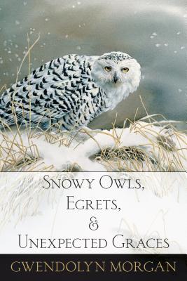Cover for Snowy Owls, Egrets, and Unexpected Graces
