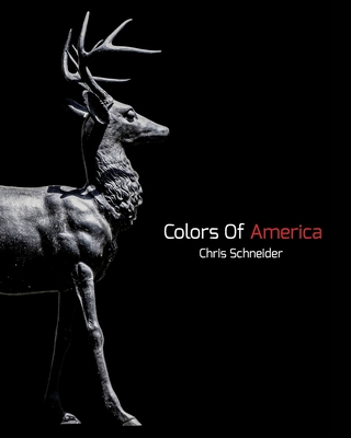 Colors Of America: Photography Zine By Chris Schneider Cover Image