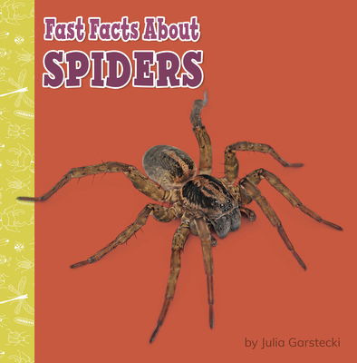 Spider Facts  Learn About Spiders