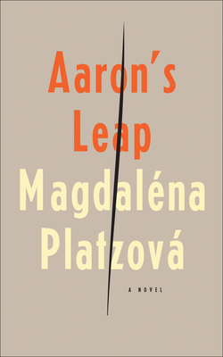 Cover for Aaron's Leap