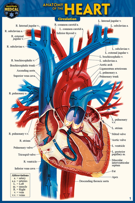 Anatomy of the Heart (Pocket-Sized Edition - 4x6 Inches) By Vincent Perez Cover Image