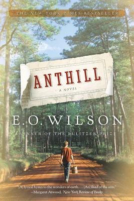 Cover Image for Anthill: A Novel